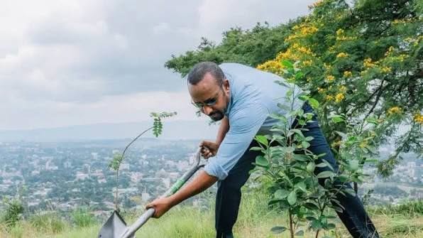 የአረንጓዴ አሻራ መርሃ ግብር በጋራ ተስፋን እንትከል!