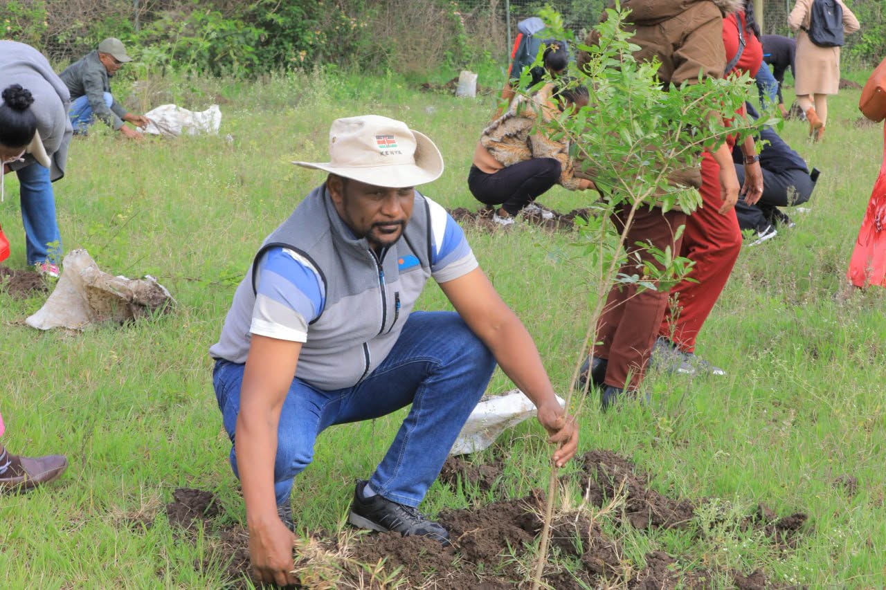 የትምህርት ሚኒስቴርና ተጠሪ ተቋማቱ 800 ሚሊየን ችግኝ በአንድ ጀምብር የመትከል መረሀ ግብር አካሄዱ